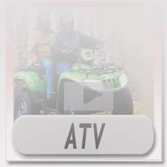 Arctic Cat ATV Diagrams
