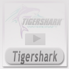 Arctic Cat Tigershark Diagrams